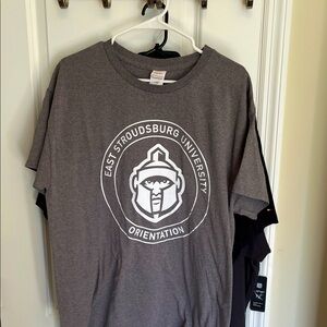 Vintage Hanes ESU Tee